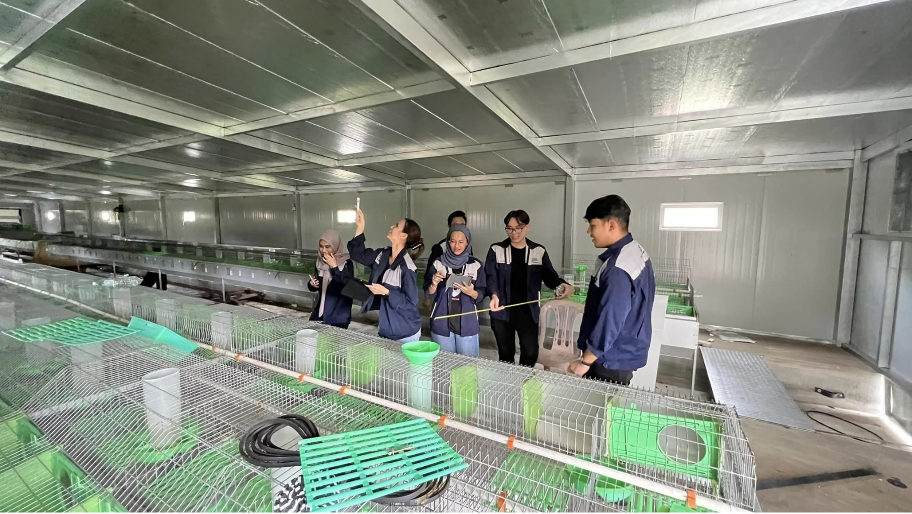 Felda GV – Smart Closed System for Rabbit Farming